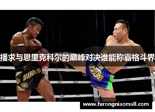 播求与恩里克科尔的巅峰对决谁能称霸格斗界